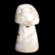Mottled Calcite mushroom 30-33mm 10g in sunlight - Rocks and Things Store