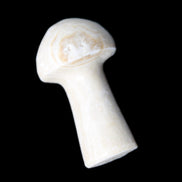 Mottled Calcite mushroom 30-33mm 10g in sunlight - Rocks and Things Store