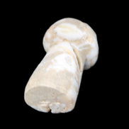 Mottled Calcite mushroom 30-33mm 10g in sunlight - Rocks and Things Store