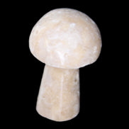 Mottled Calcite mushroom 30-33mm 10g in sunlight - Rocks and Things Store