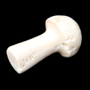 Mottled Calcite mushroom 30-33mm 10g in sunlight - Rocks and Things Store