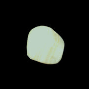 Pistachio Calcite tumbled stone 20-31mm 12-18g in sunlight - Rocks and Things Store