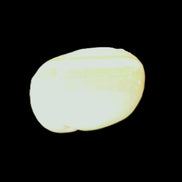 Pistachio Calcite tumbled stone 20-31mm 12-18g in sunlight - Rocks and Things Store