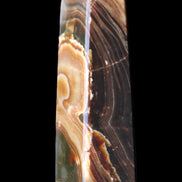 Chocolate Calcite obelisk 118*33*28mm 236g in sunlight - Rocks and Things Store