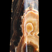 Chocolate Calcite obelisk 118*33*28mm 236g in sunlight - Rocks and Things Store