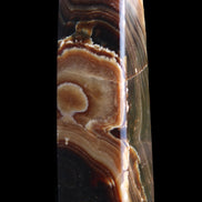 Chocolate Calcite obelisk 118*33*28mm 236g in sunlight - Rocks and Things Store