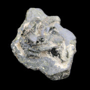 Epidote cluster specimen 45*37*28mm 42.6g in sunlight - Rocks and Things Store