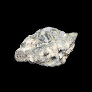 Epidote cluster specimen 45*37*28mm 42.6g in sunlight - Rocks and Things Store