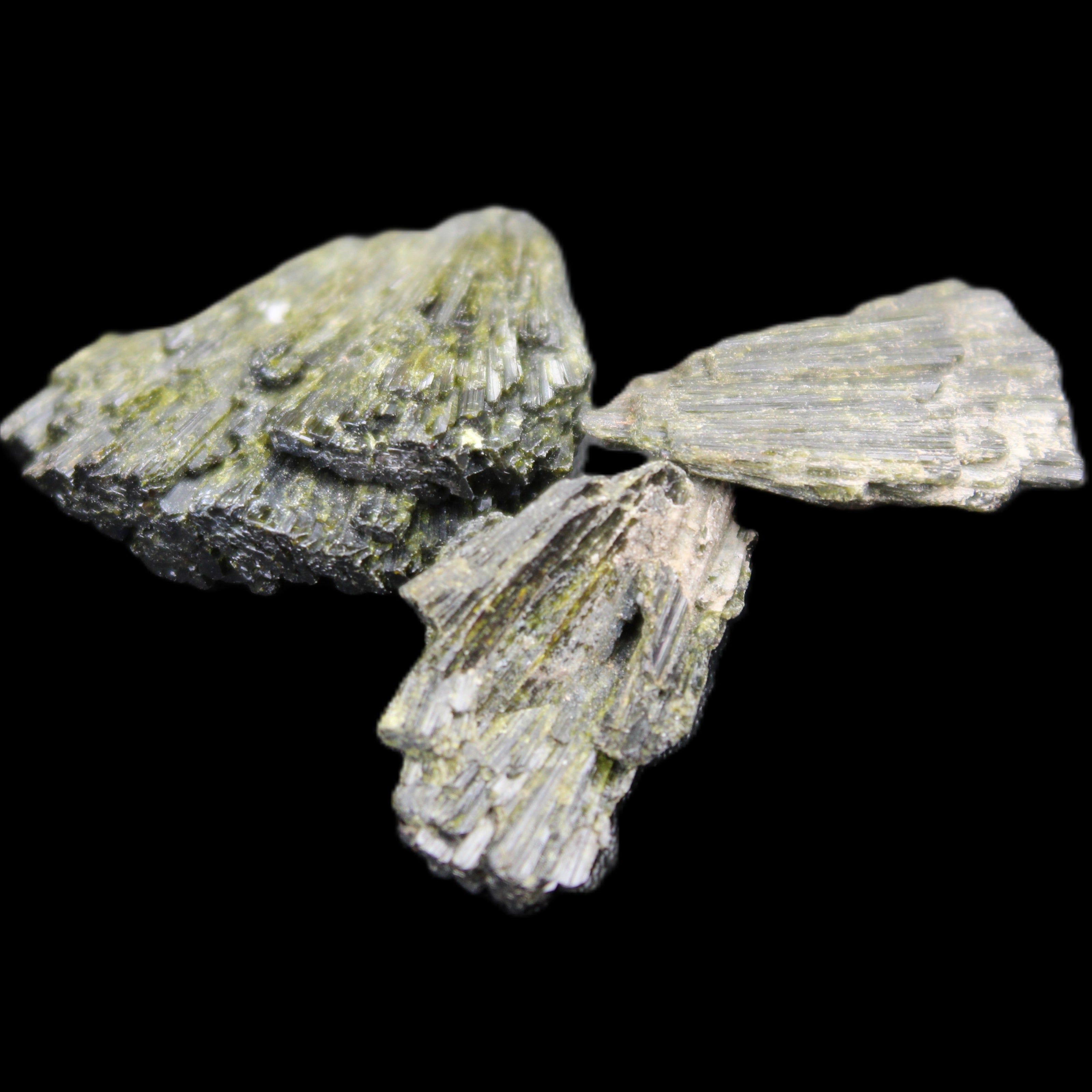 Epidote 3 floral crystal clusters 16g in sunlight - Rocks and Things Store