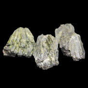 Epidote 3 floral crystal clusters 16g in sunlight - Rocks and Things Store