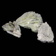 Epidote 3 floral crystal clusters 16g in sunlight - Rocks and Things Store