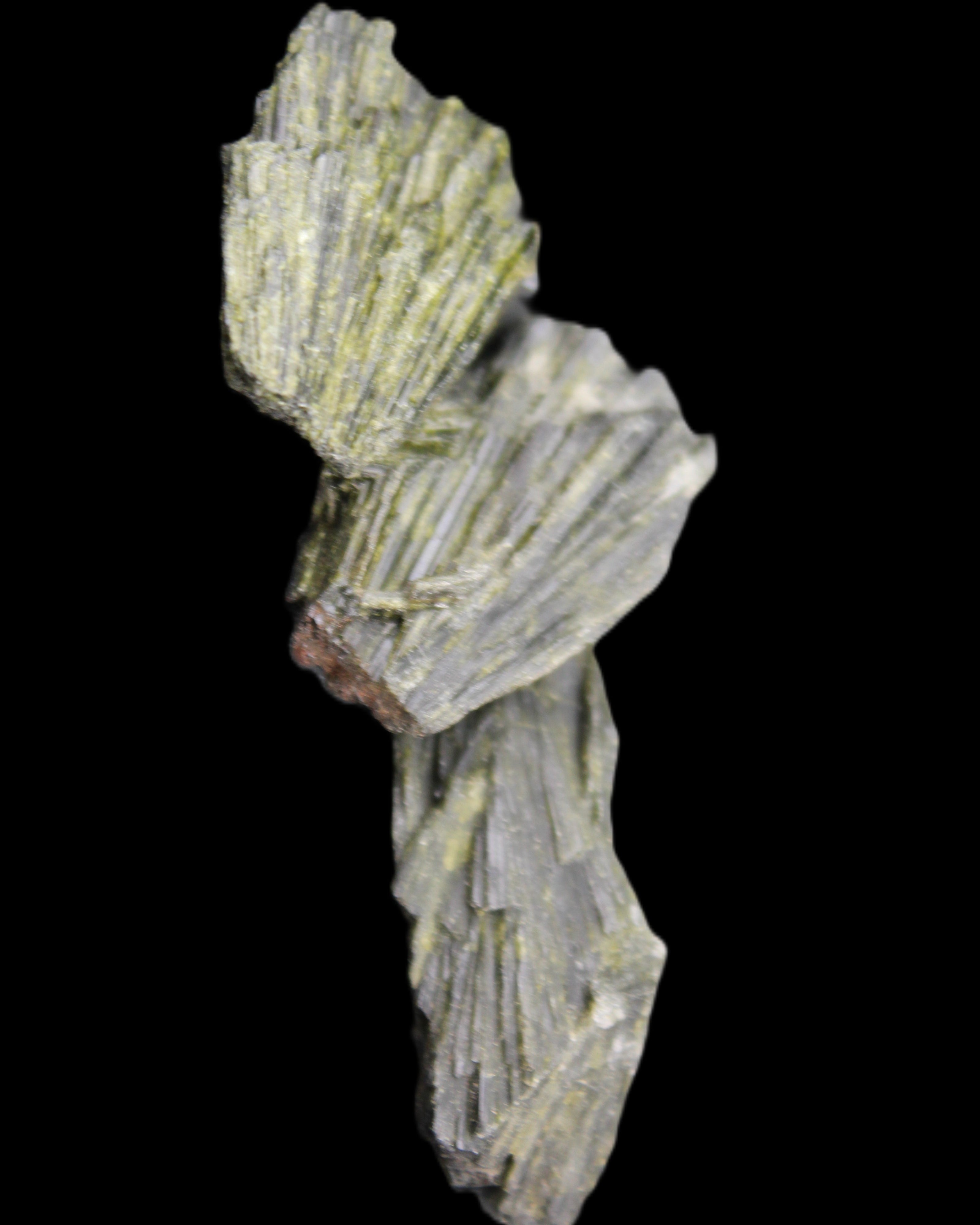 Epidote 3 floral crystal clusters 16g in sunlight - Rocks and Things Store