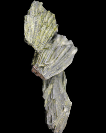 Epidote 3 floral crystal clusters 16g in sunlight - Rocks and Things Store