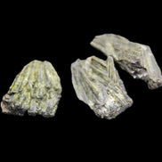 Epidote 3 floral crystal clusters 16g in sunlight - Rocks and Things Store