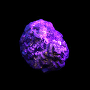Chalcopyrite cluster from Pakistan 37*35*27mm 86.6g in UV light - Rocks and Things Store