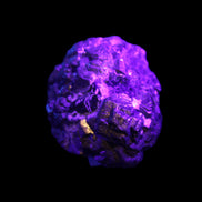 Chalcopyrite cluster from Pakistan 37*35*27mm 86.6g in UV light - Rocks and Things Store