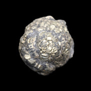 Chalcopyrite cluster from Pakistan 40*30*31mm 86.3g in sunlight - Rocks and Things Store