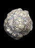 Chalcopyrite cluster from Pakistan 40*30*31mm 86.3g in sunlight - Rocks and Things Store