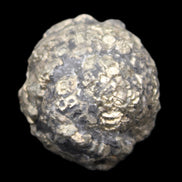 Chalcopyrite cluster from Pakistan 40*30*31mm 86.3g in sunlight - Rocks and Things Store