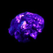 Chalcopyrite cluster from Pakistan 40*32*25mm 80.0g in sunlight - Rocks and Things Store