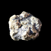 Chalcopyrite cluster from Pakistan 32*28*24mm 52.4g in sunlight - Rocks and Things Store