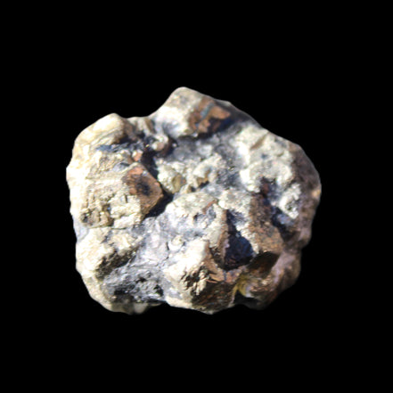 Chalcopyrite cluster from Pakistan 32*28*24mm 52.4g in sunlight - Rocks and Things Store