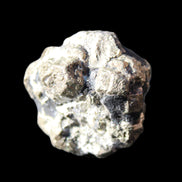 Chalcopyrite cluster from Pakistan 32*28*24mm 52.4g in sunlight - Rocks and Things Store