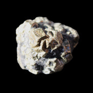 Chalcopyrite cluster from Pakistan 32*28*24mm 52.4g in sunlight - Rocks and Things Store