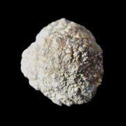 Chalcopyrite cluster from Pakistan 42*32*27mm 66.8g in sunlight - Rocks and Things Store