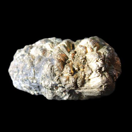 Chalcopyrite cluster from Pakistan 36*20*20mm 44.5g in sunlight - Rocks and Things Store