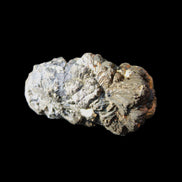 Chalcopyrite cluster from Pakistan 36*20*20mm 44.5g in sunlight - Rocks and Things Store