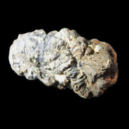 Chalcopyrite cluster from Pakistan 36*20*20mm 44.5g in sunlight - Rocks and Things Store