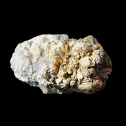 Chalcopyrite cluster from Pakistan 36*20*20mm 44.5g in sunlight - Rocks and Things Store