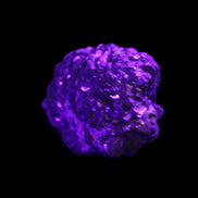 Chalcopyrite cluster from Pakistan 35*25*24mm 48g in UV light - Rocks and Things Store