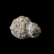 Chalcopyrite cluster from Pakistan 23*15*15mm 13.5g in sunlight - Rocks and Things Store