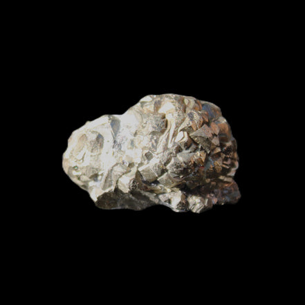 Chalcopyrite cluster from Pakistan 23*15*15mm 13.5g in sunlight - Rocks and Things Store