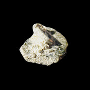 Magnetic Epidote irregular hexagon crystals 21mm 4/5g in sunlight - Rocks and Things Store