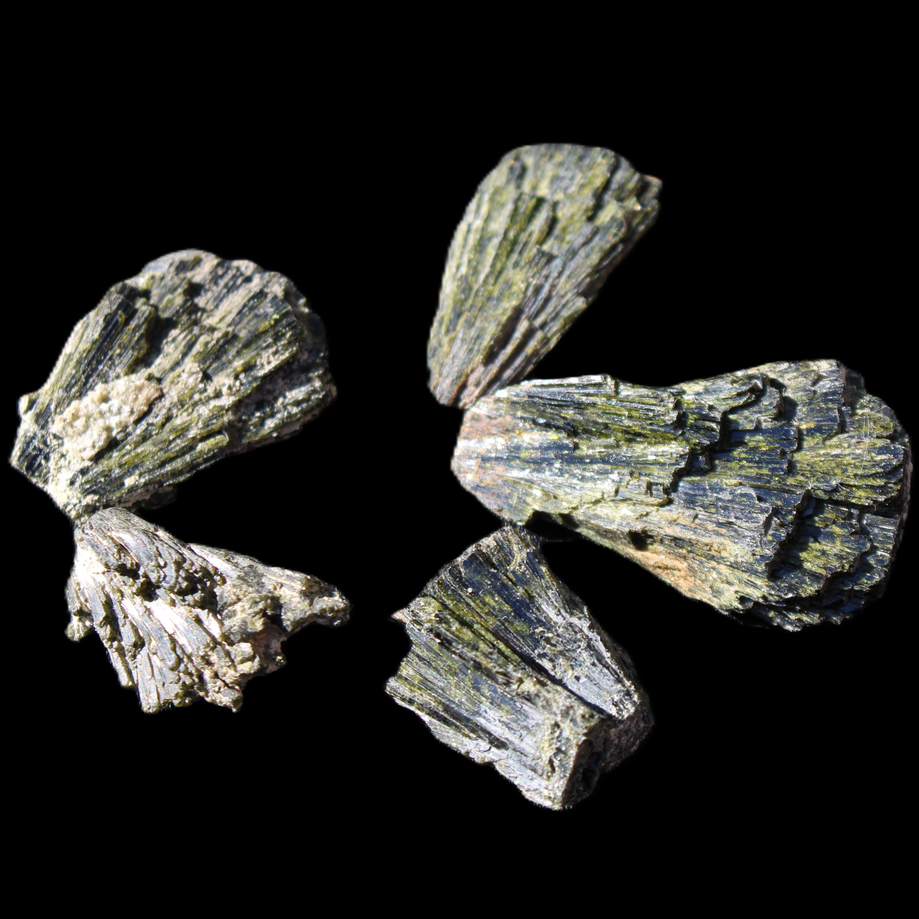 Epidote 5 floral crystal clusters 22-38mm 32.7g in sunlight - Rocks and Things Store