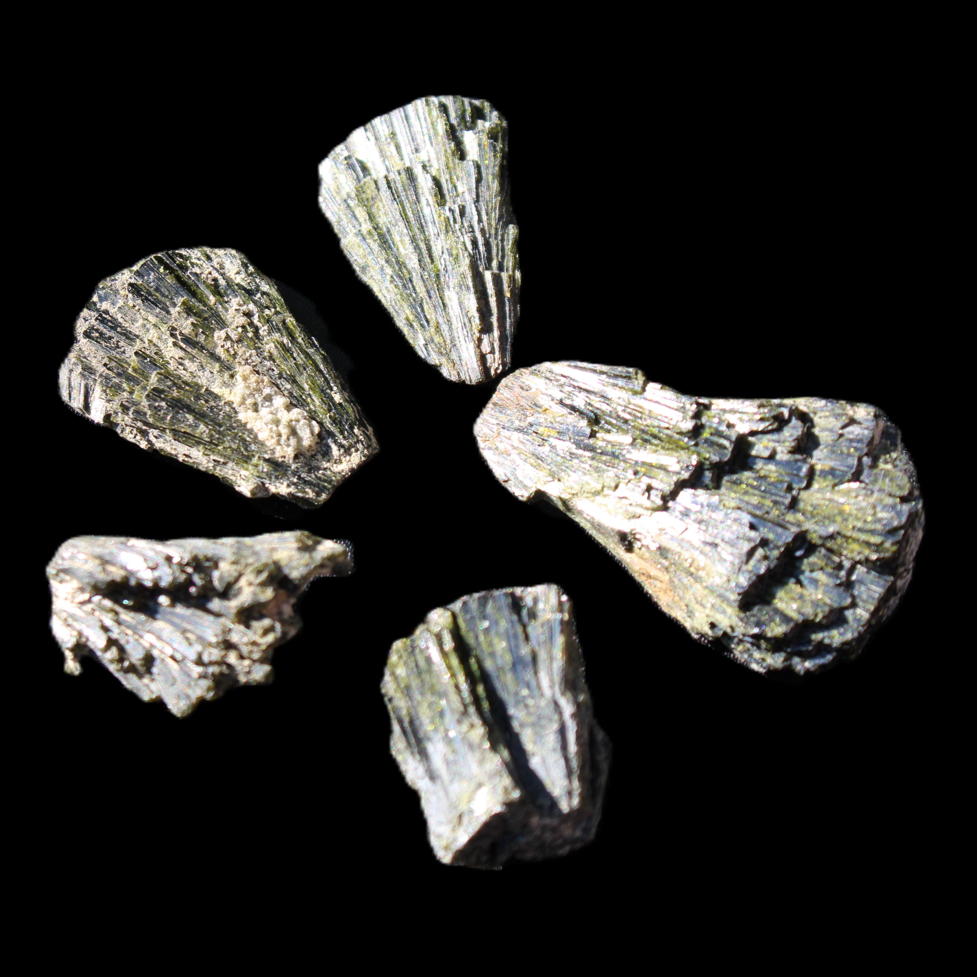 Epidote 5 floral crystal clusters 22-38mm 32.7g in sunlight - Rocks and Things Store