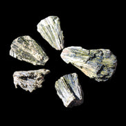 Epidote 5 floral crystal clusters 22-38mm 32.7g in sunlight - Rocks and Things Store