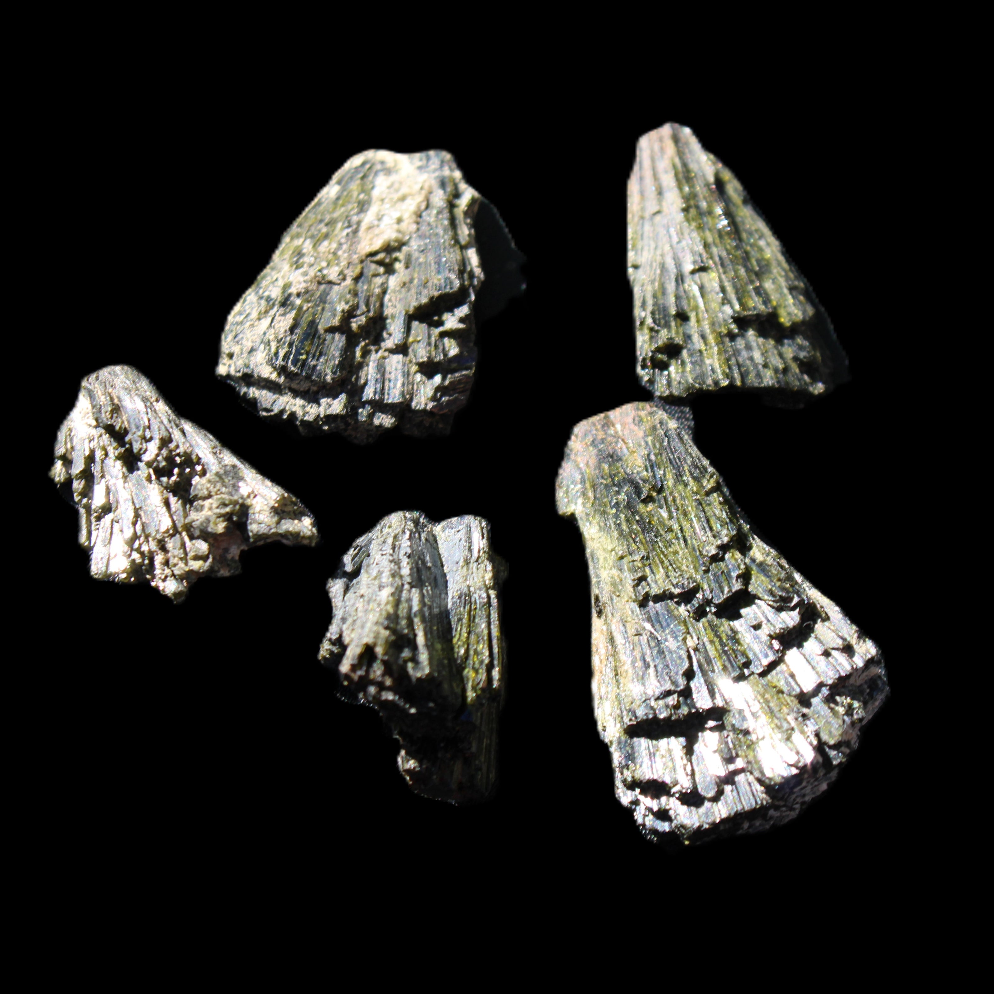 Epidote 5 floral crystal clusters 22-38mm 32.7g in sunlight - Rocks and Things Store