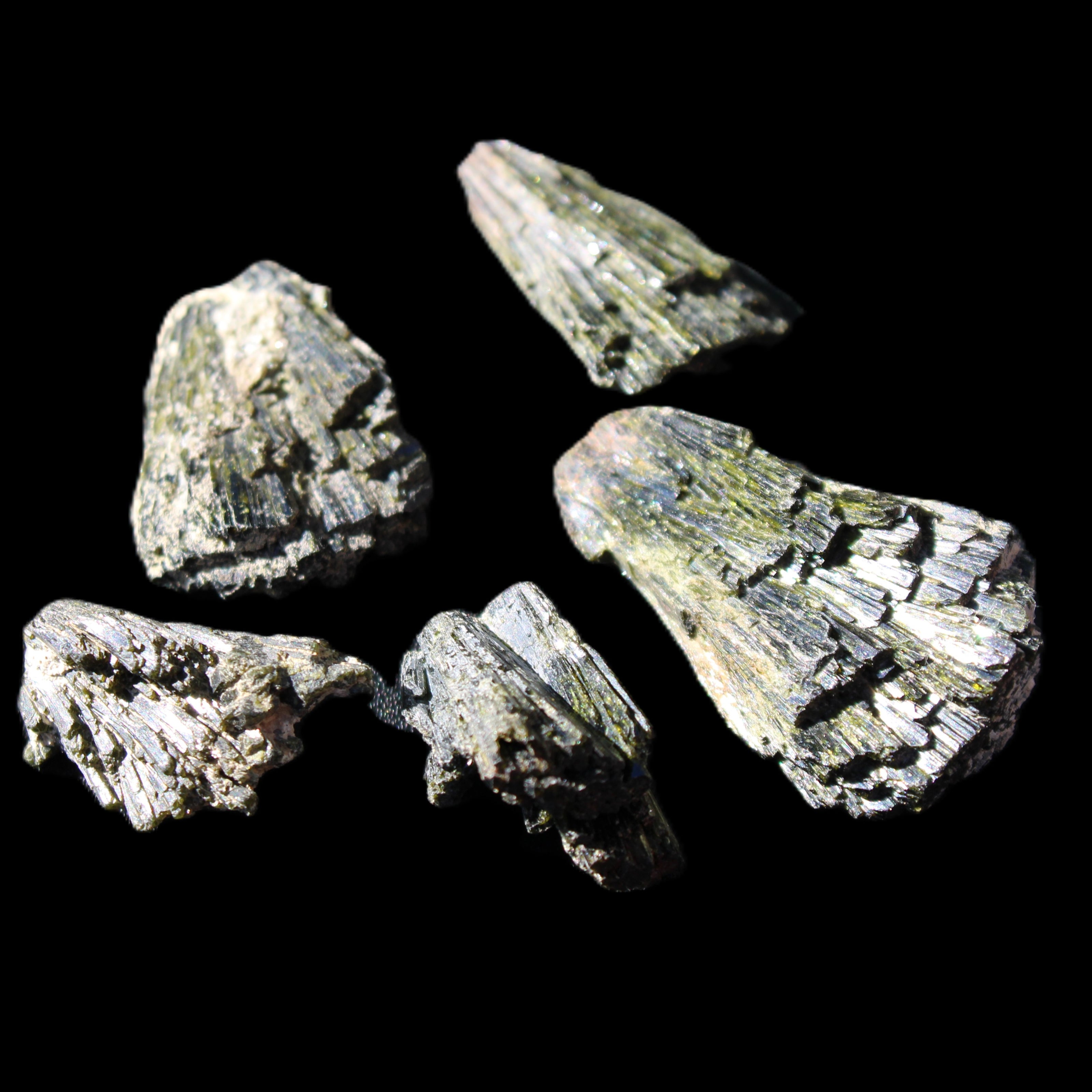 Epidote 5 floral crystal clusters 22-38mm 32.7g in sunlight - Rocks and Things Store