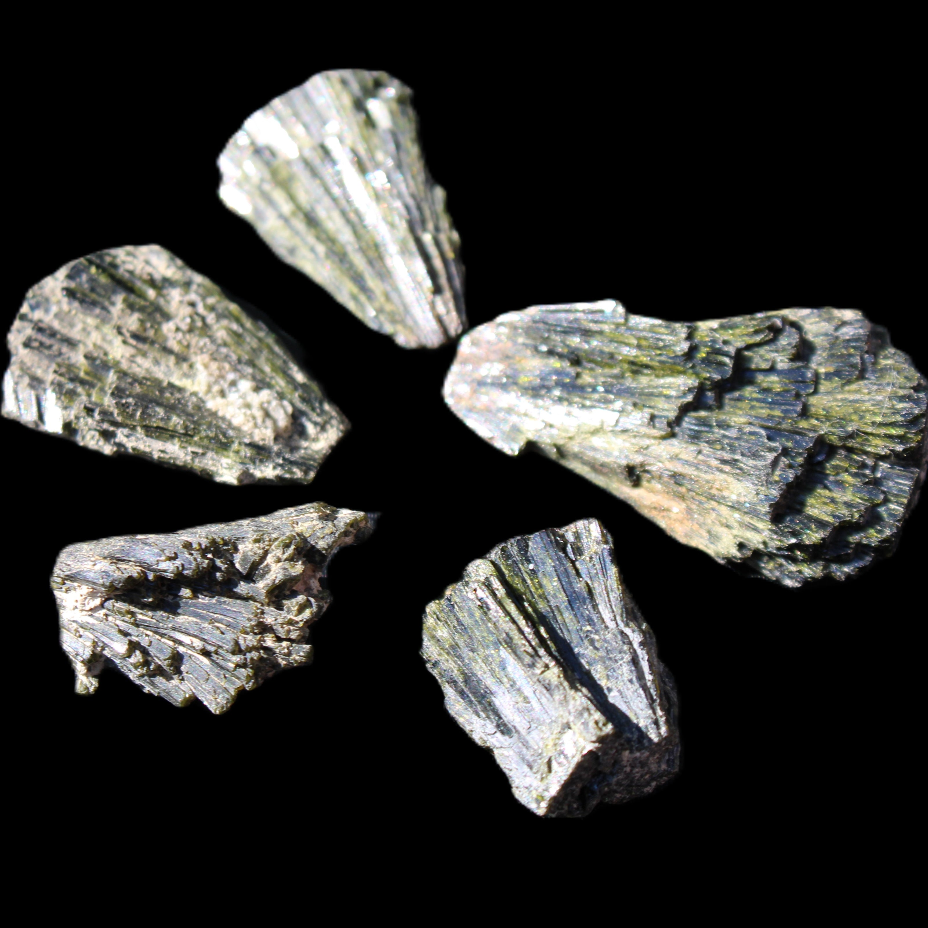 Epidote 5 floral crystal clusters 22-38mm 32.7g in sunlight - Rocks and Things Store