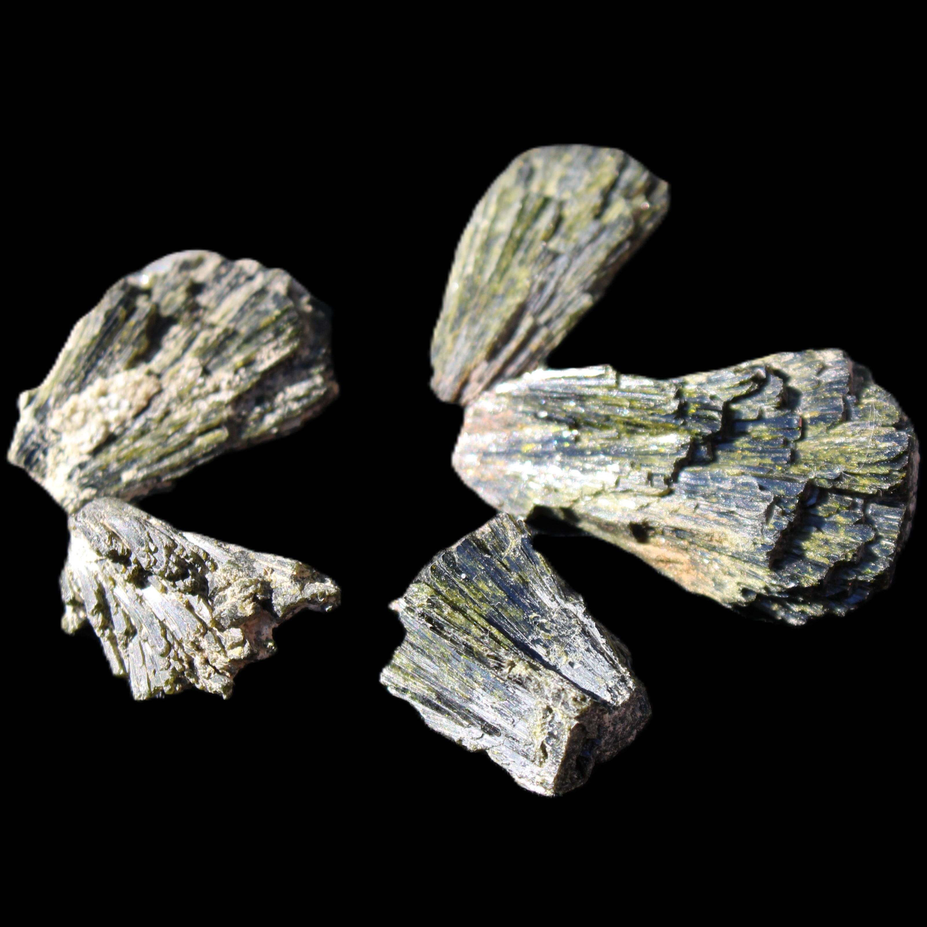 Epidote 5 floral crystal clusters 22-38mm 32.7g in sunlight - Rocks and Things Store