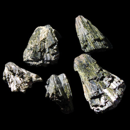 Epidote 5 floral crystal clusters 22-38mm 32.7g in sunlight - Rocks and Things Store