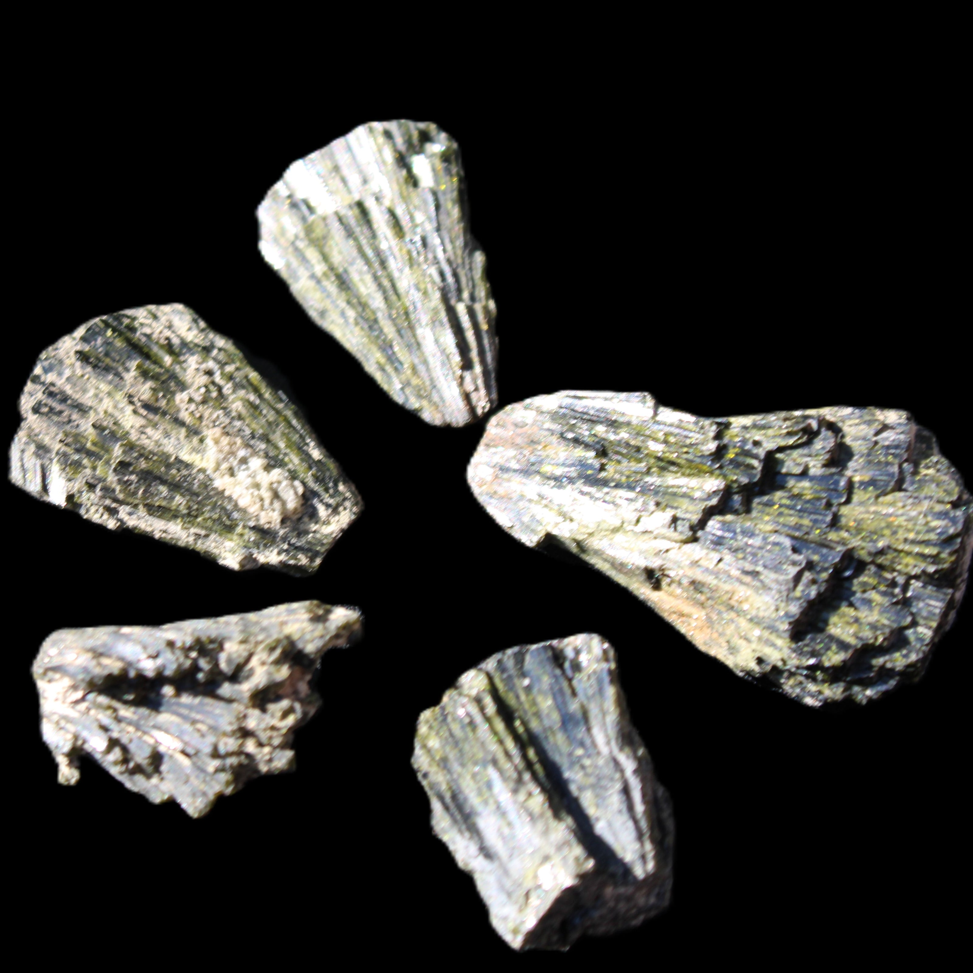 Epidote 5 floral crystal clusters 22-38mm 32.7g in sunlight - Rocks and Things Store