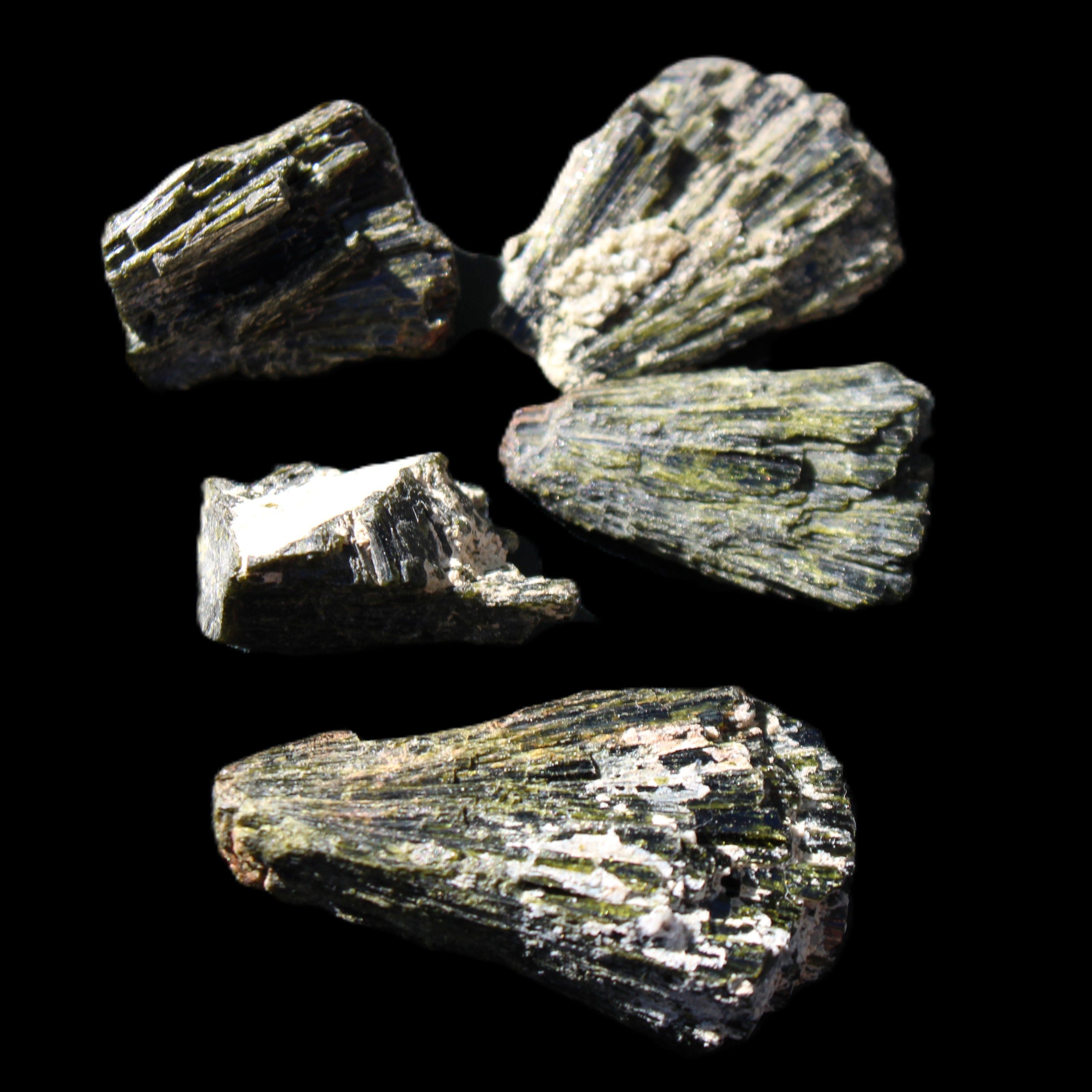 Epidote 5 floral crystal clusters 22-38mm 32.7g in sunlight - Rocks and Things Store