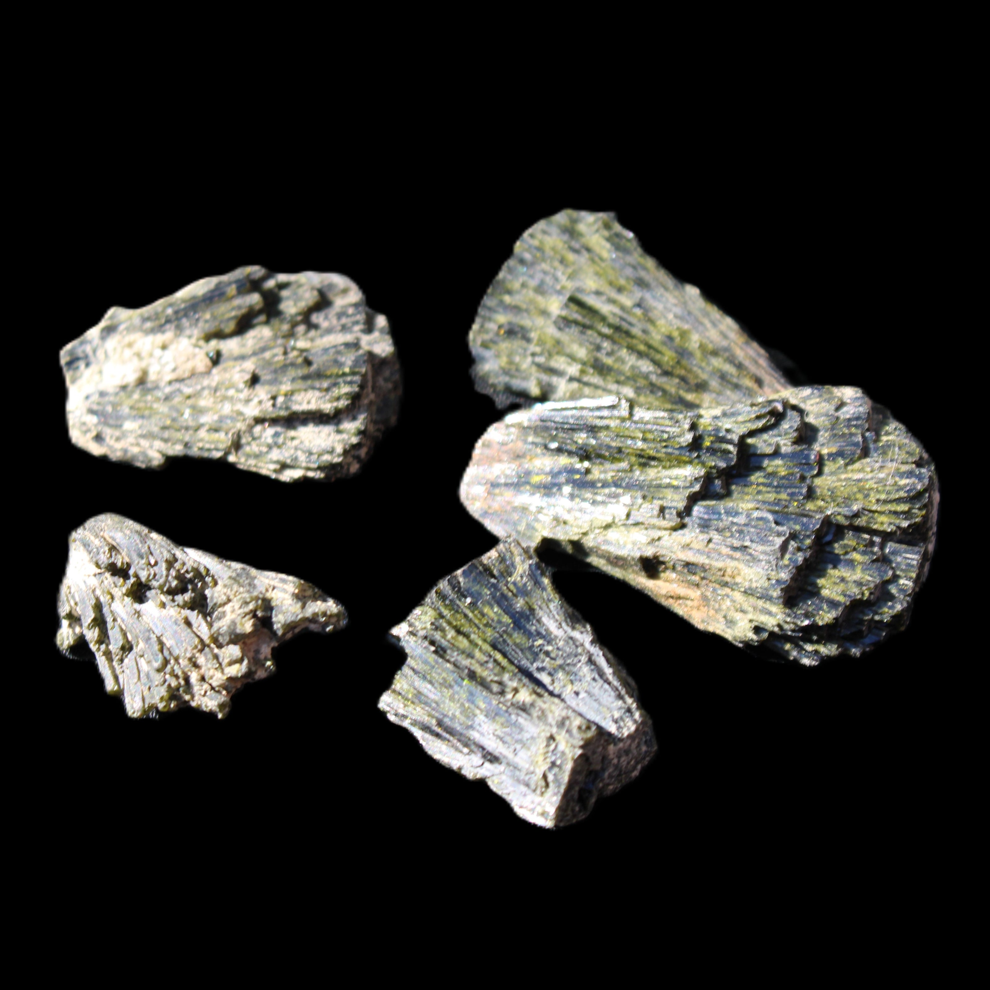 Epidote 5 floral crystal clusters 22-38mm 32.7g in sunlight - Rocks and Things Store