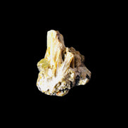 Yellow Tourmaline floral cluster specimen 26*28*25mm 12.5g in sunlight - Rocks and Things Store