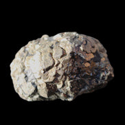 Chalcopyrite cluster from Pakistan 38*27*20mm 59g in sunlight - Rocks and Things Store